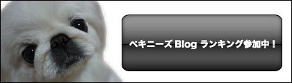 ペキニーズ Blog-白ペキニーズ シロ♂ & 白黒ペキニーズ クロ♀のフォトブログ-シロ-ランキングバナー