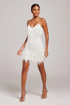 Marke Fransen-Kleid mit Pailletten und Federn, elegantes Design — Image 5