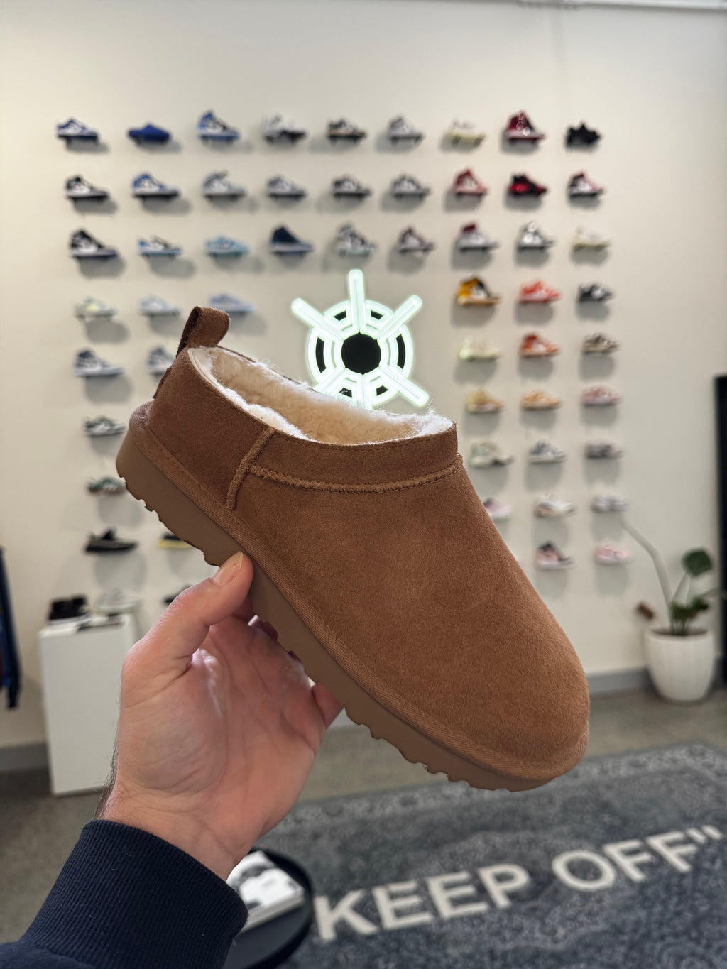 UGG Classic Micro Chestnut Damen