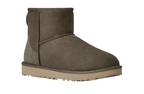 UGG Classic Mini II Dried Oregano Damen